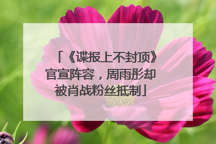 《谍报上不封顶》官宣阵容，周雨彤却被肖战粉丝抵制