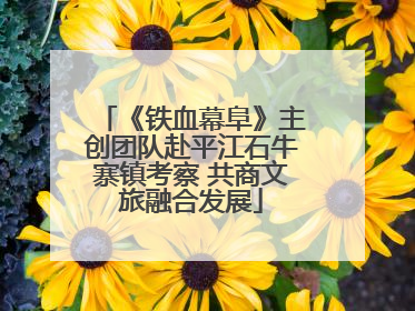 《铁血幕阜》主创团队赴平江石牛寨镇考察 共商文旅融合发展