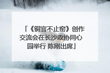 《铜官不止窑》创作交流会在长沙政协同心园举行 陈刚出席