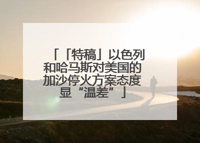 「特稿」以色列和哈马斯对美国的加沙停火方案态度显“温差”