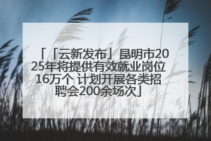 「云新发布」昆明市2025年将提供有效就业岗位16万个 计划开展各类招聘会200余场次