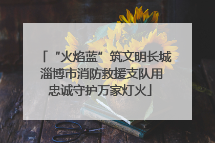 “火焰蓝”筑文明长城 淄博市消防救援支队用忠诚守护万家灯火