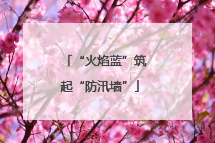 “火焰蓝”筑起“防汛墙”
