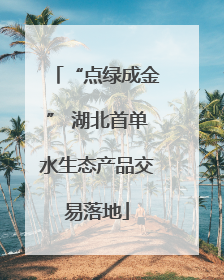 “点绿成金” 湖北首单水生态产品交易落地