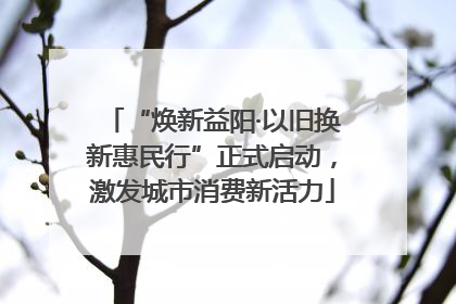 “焕新益阳·以旧换新惠民行”正式启动，激发城市消费新活力