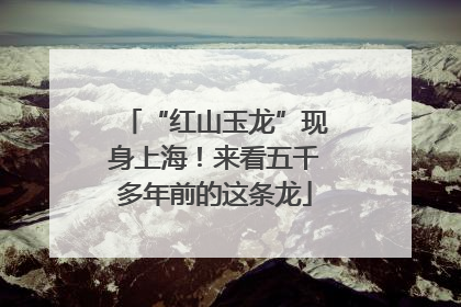“红山玉龙”现身上海！来看五千多年前的这条龙