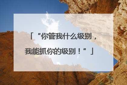 “你管我什么级别，我能抓你的级别！”