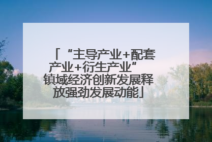 “主导产业+配套产业+衍生产业” 镇域经济创新发展释放强劲发展动能