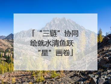 “三链”协同 绘就水清鱼跃“星”画卷