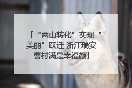 “两山转化”实现“美丽”跃迁 浙江瑞安曹村满是幸福颜