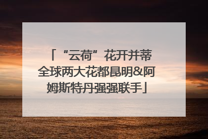 “云荷”花开并蒂 全球两大花都昆明&阿姆斯特丹强强联手