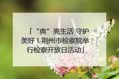 “典”亮生活 守护美好！荆州市检察院举行检察开放日活动