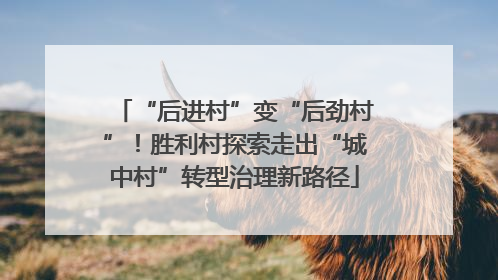 “后进村”变“后劲村”！胜利村探索走出“城中村”转型治理新路径