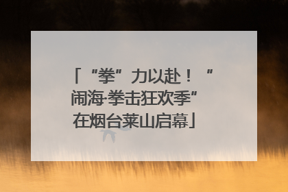 “拳”力以赴！“闹海·拳击狂欢季”在烟台莱山启幕