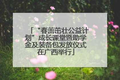 “春蕾茁壮公益计划”成长课堂暨助学金及装备包发放仪式在广西举行