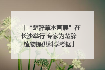 “楚辞草木画展”在长沙举行 专家为楚辞植物提供科学考据