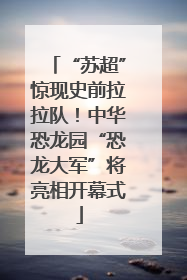 “苏超”惊现史前拉拉队！中华恐龙园“恐龙大军”将亮相开幕式