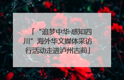 “追梦中华·感知四川”海外华文媒体采访行活动走进泸州古蔺
