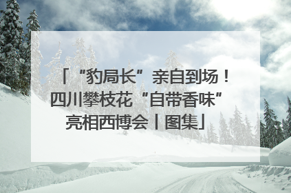 “豹局长”亲自到场！四川攀枝花“自带香味”亮相西博会丨图集