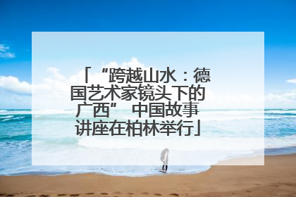 “跨越山水：德国艺术家镜头下的广西” 中国故事讲座在柏林举行