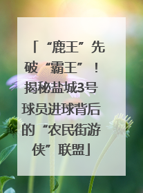 “鹿王”先破“霸王”！揭秘盐城3号球员进球背后的“农民街游侠”联盟