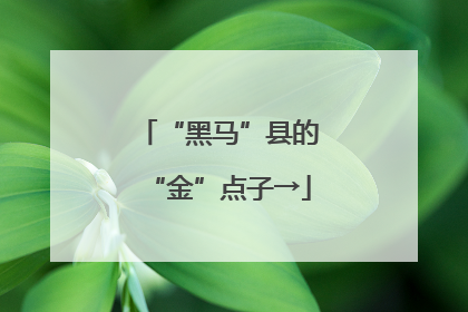 “黑马”县的“金”点子→
