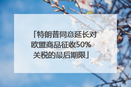 特朗普同意延长对欧盟商品征收50%关税的最后期限