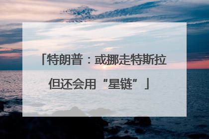 特朗普：或挪走特斯拉 但还会用“星链”