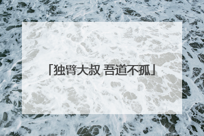 独臂大叔 吾道不孤