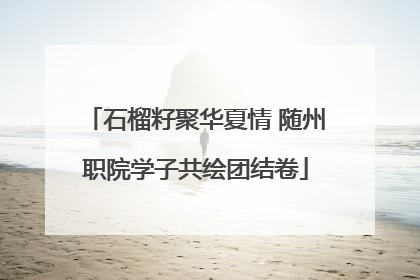 石榴籽聚华夏情 随州职院学子共绘团结卷