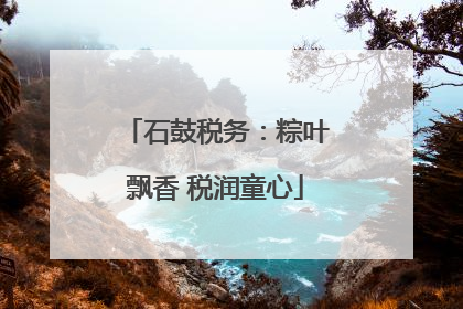 石鼓税务：粽叶飘香 税润童心