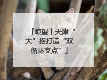 瞭望丨天津“大”招打造“双循环支点”