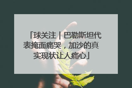 球关注｜巴勒斯坦代表掩面痛哭，加沙的真实现状让人痛心