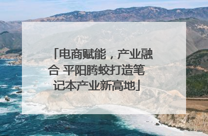 电商赋能，产业融合 平阳腾蛟打造笔记本产业新高地