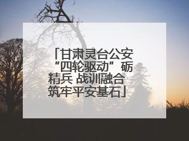 甘肃灵台公安“四轮驱动”砺精兵 战训融合筑牢平安基石