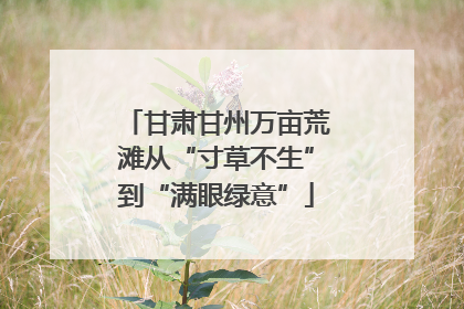 甘肃甘州万亩荒滩从“寸草不生”到“满眼绿意”