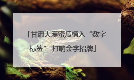 甘肃大漠蜜瓜植入“数字标签” 打响金字招牌