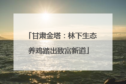 甘肃金塔：林下生态养鸡踏出致富新道