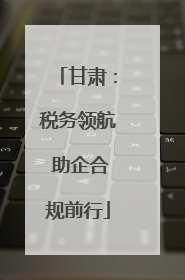 甘肃：税务领航 助企合规前行