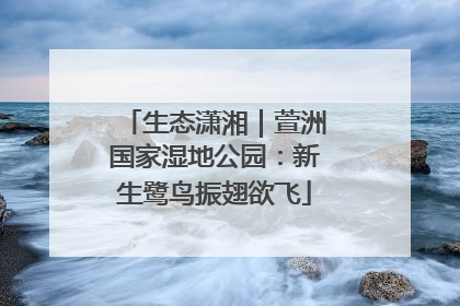 生态潇湘｜萱洲国家湿地公园：新生鹭鸟振翅欲飞