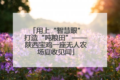 用上“智慧眼” 打造“吨粮田”——陕西宝鸡一座无人农场夏收见闻