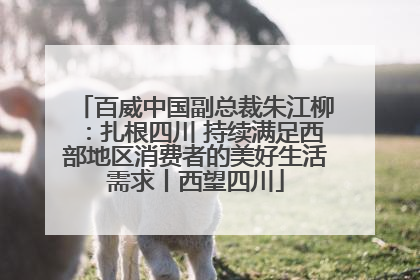 百威中国副总裁朱江柳：扎根四川 持续满足西部地区消费者的美好生活需求丨西望四川