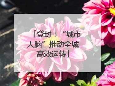登封：“城市大脑”推动全城高效运转