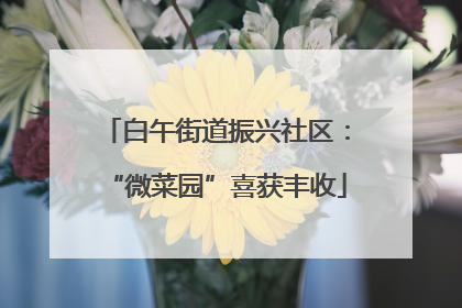 白午街道振兴社区：“微菜园”喜获丰收