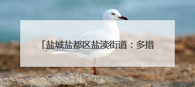 盐城盐都区盐渎街道：多措并举 助力“秸”尽其用