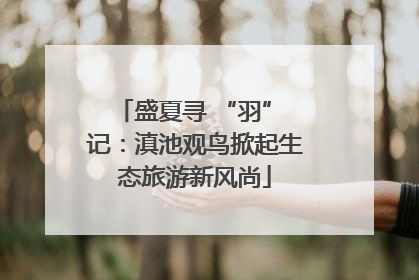 盛夏寻 “羽” 记：滇池观鸟掀起生态旅游新风尚