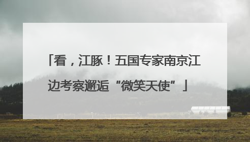 看，江豚！五国专家南京江边考察邂逅“微笑天使”