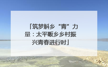 筑梦斛乡“青”力量：太平畈乡乡村振兴青春进行时