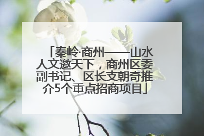 秦岭·商州——山水人文邀天下，商州区委副书记、区长支朝奇推介5个重点招商项目