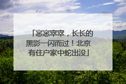 窸窸窣窣，长长的黑影一闪而过！北京有住户家中蛇出没